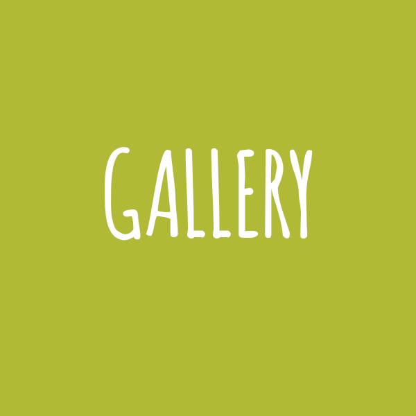 Gallery_cover