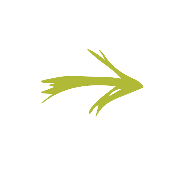 arrow4